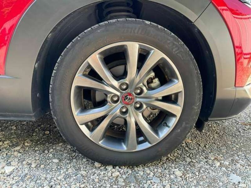 CX-30