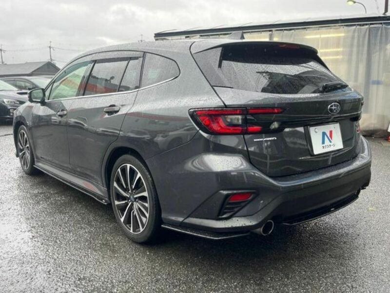 LEVORG