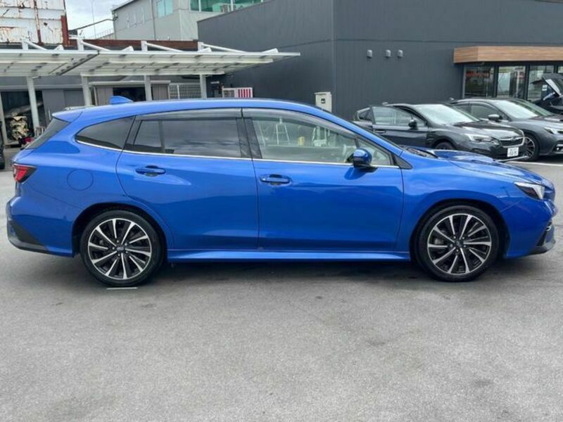 LEVORG