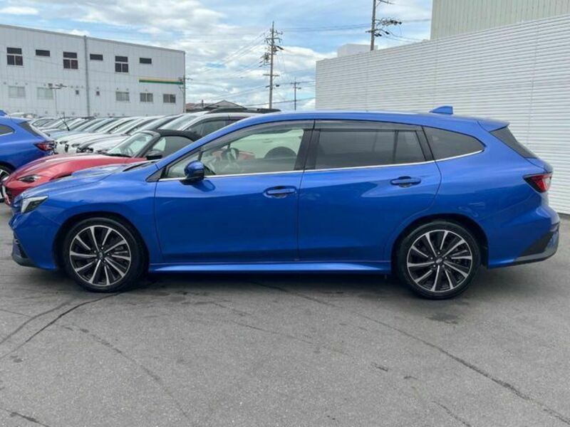 LEVORG
