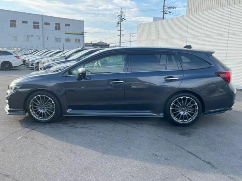 LEVORG