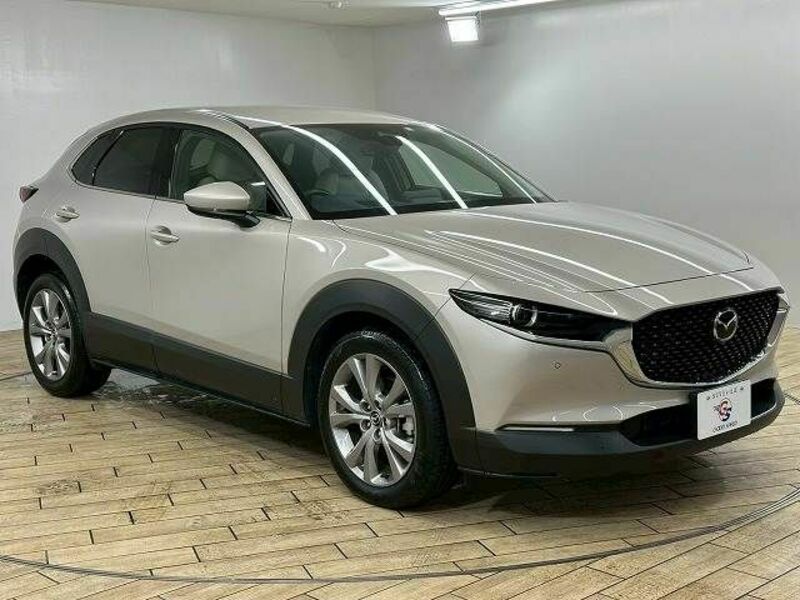 CX-30
