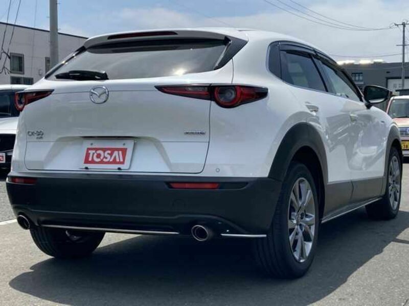 CX-30
