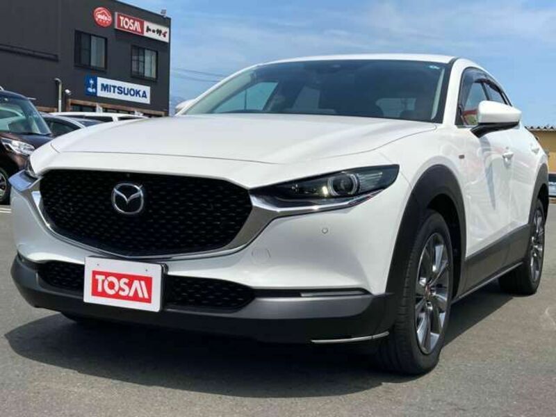 CX-30