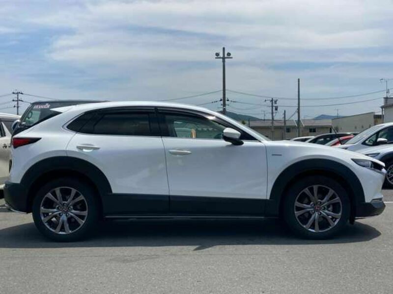 CX-30