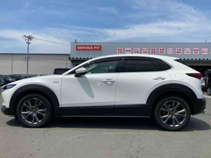 CX-30