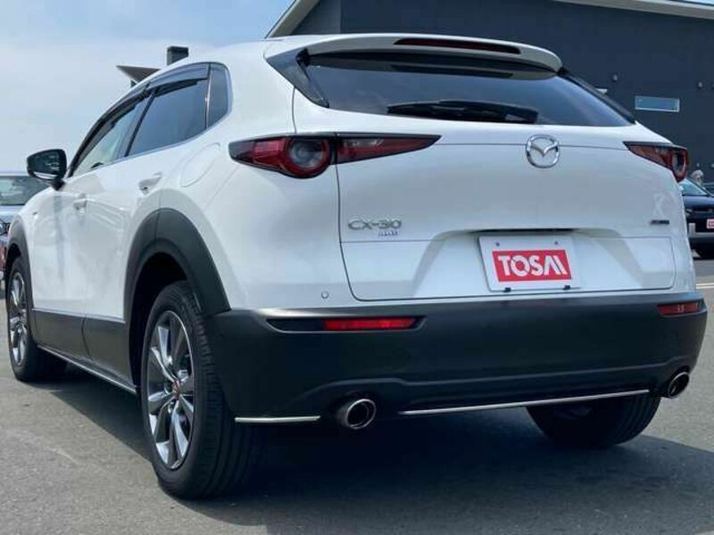 CX-30