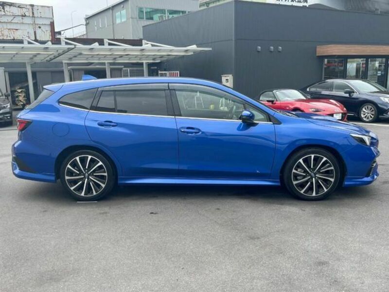 LEVORG