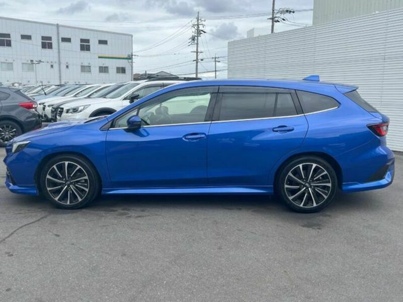 LEVORG