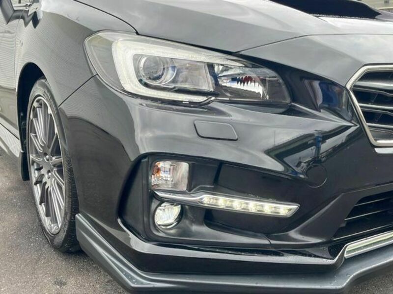 LEVORG