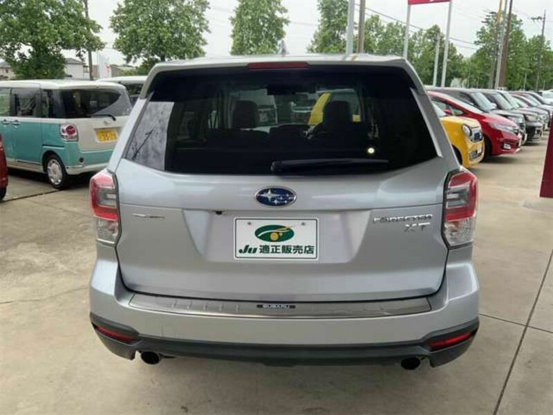 FORESTER