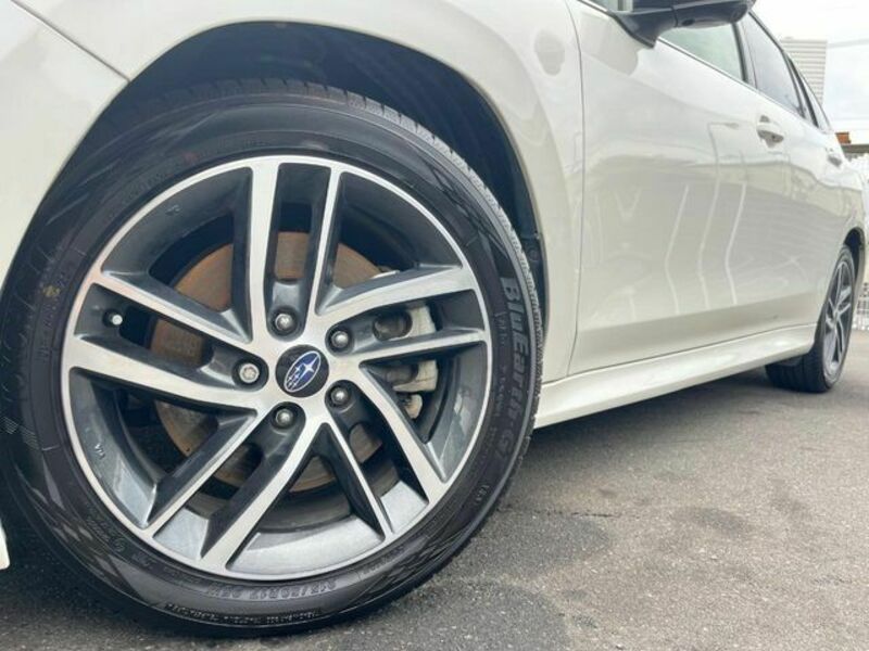 LEVORG