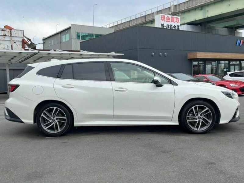 LEVORG