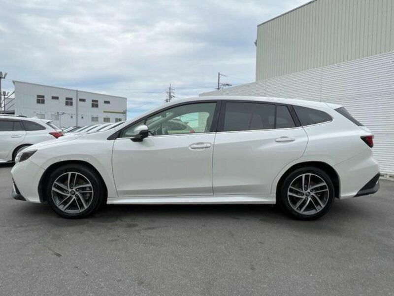 LEVORG