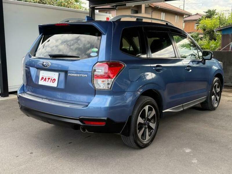 FORESTER