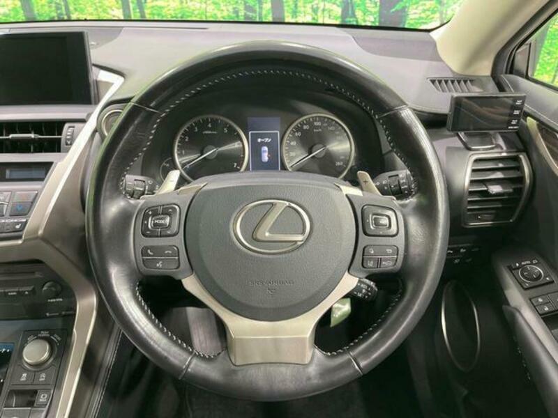 NX