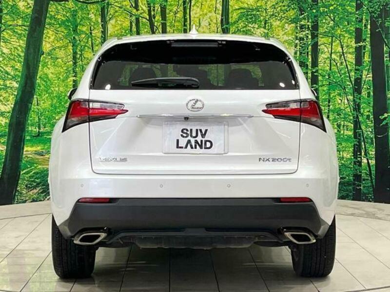 NX