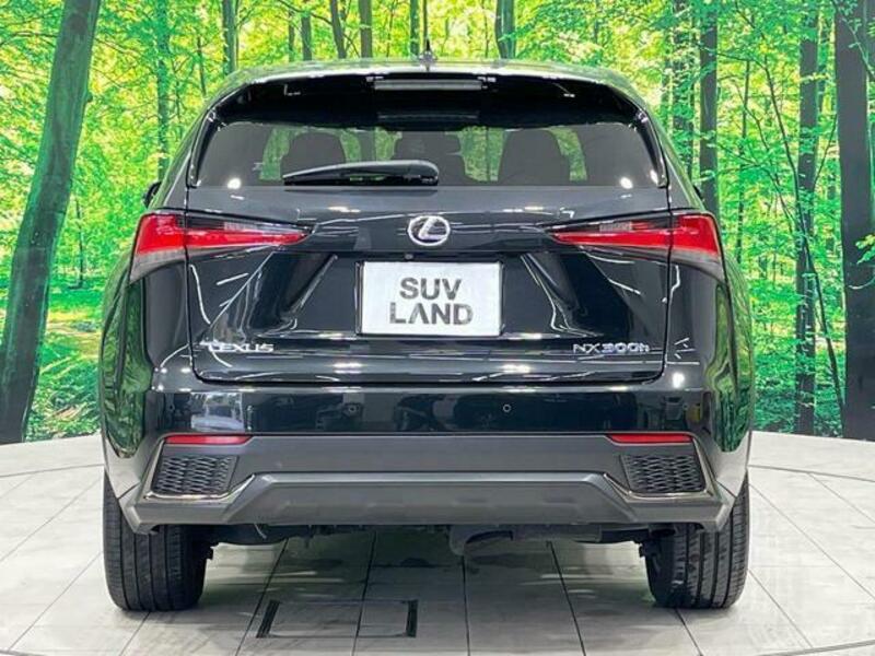 NX
