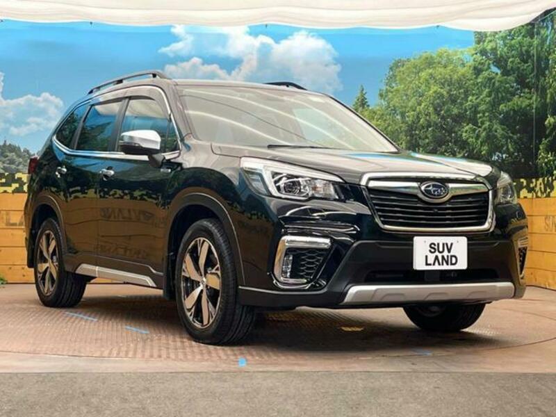 FORESTER