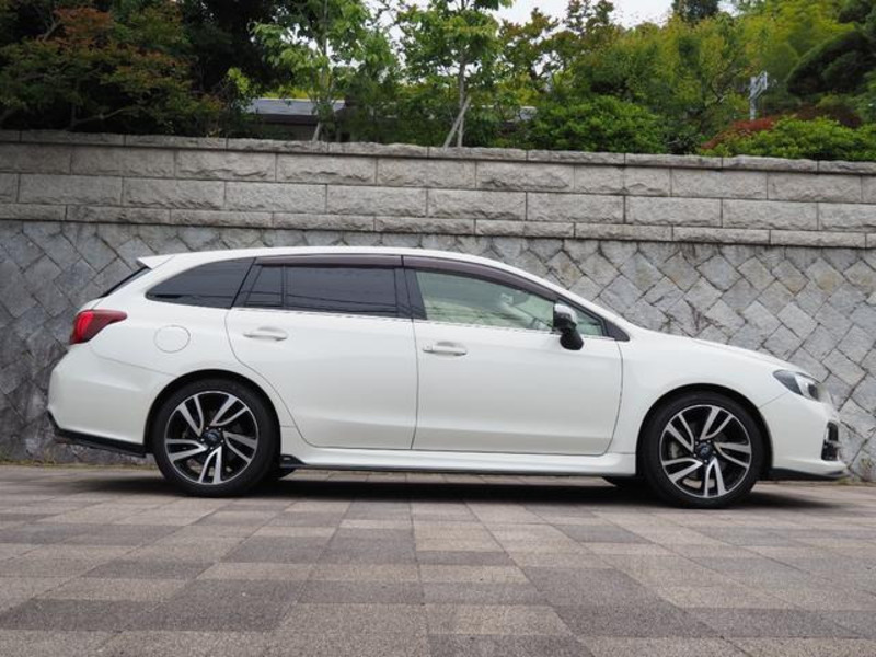 LEVORG