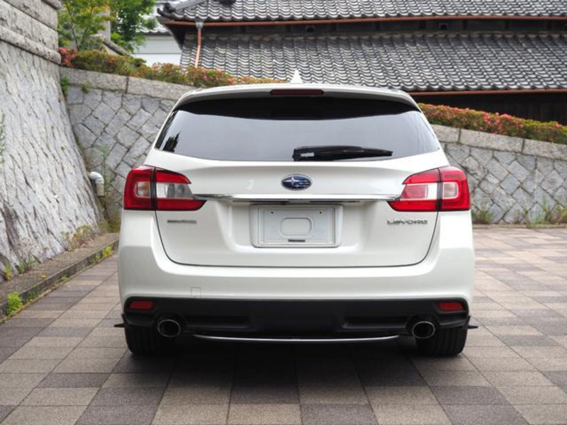 LEVORG