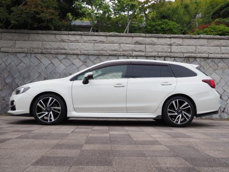 LEVORG