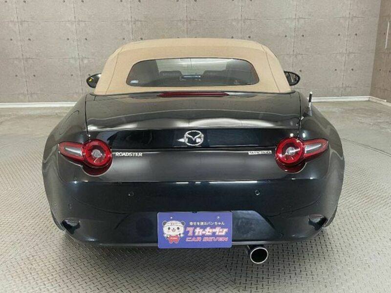 ROADSTER