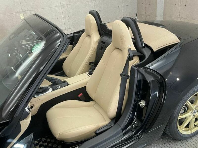 ROADSTER