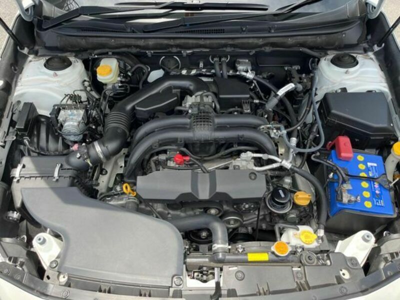 LEGACY OUTBACK