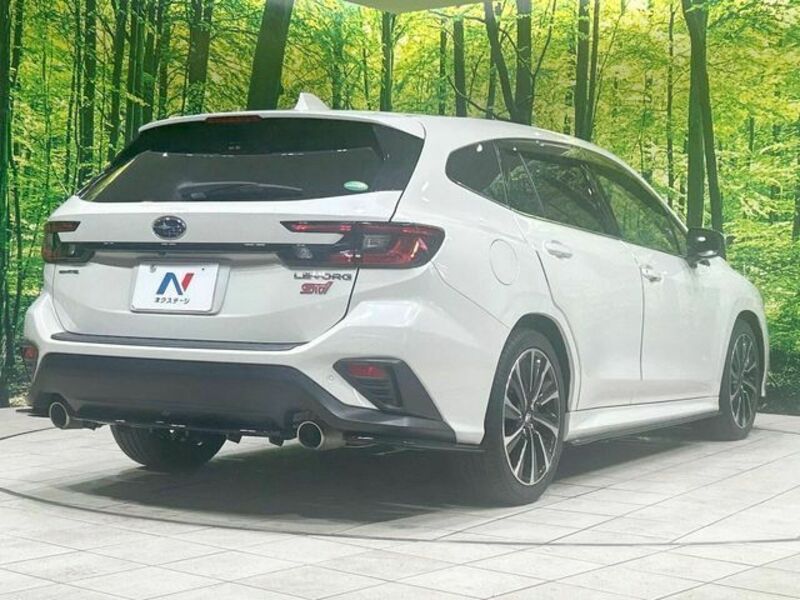 LEVORG