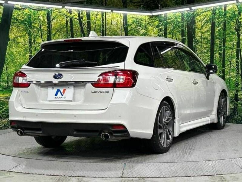LEVORG