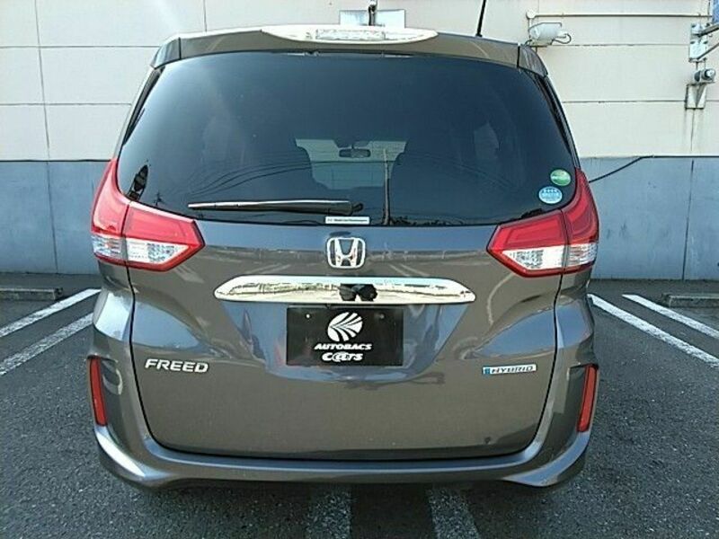 FREED HYBRID
