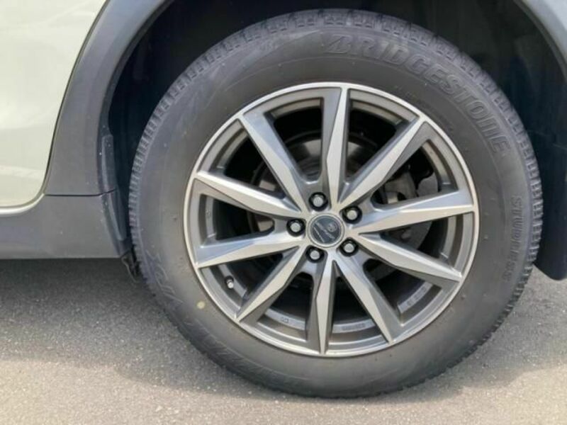 XV