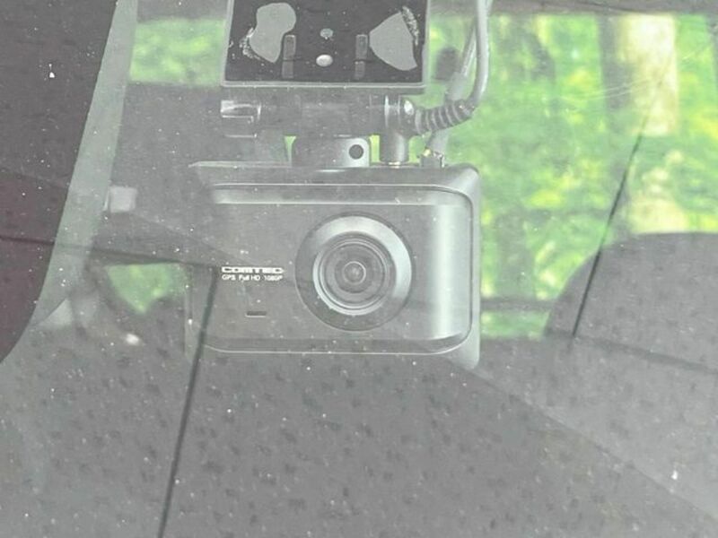DAYZ ROOX