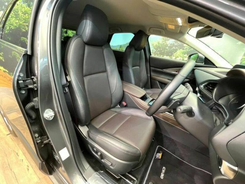 CX-30