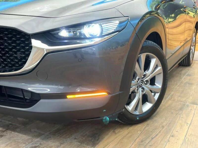 CX-30