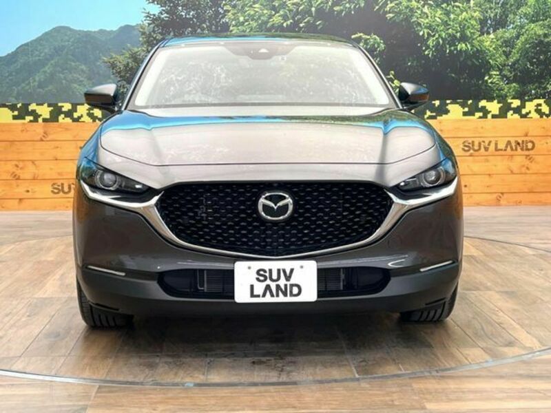 CX-30