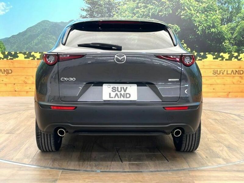 CX-30