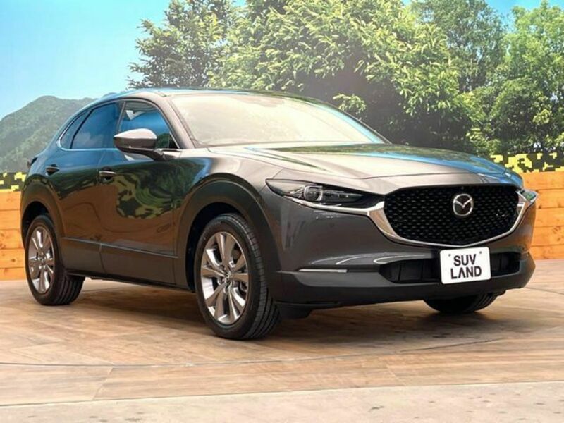 CX-30
