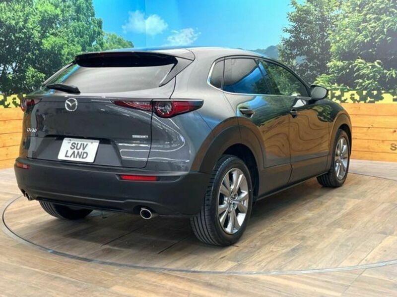 CX-30