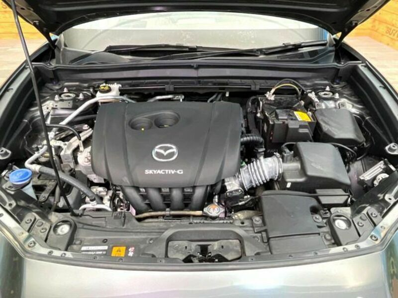 CX-30
