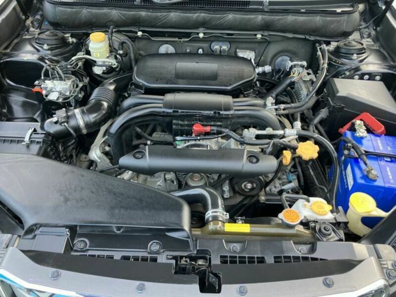LEGACY OUTBACK
