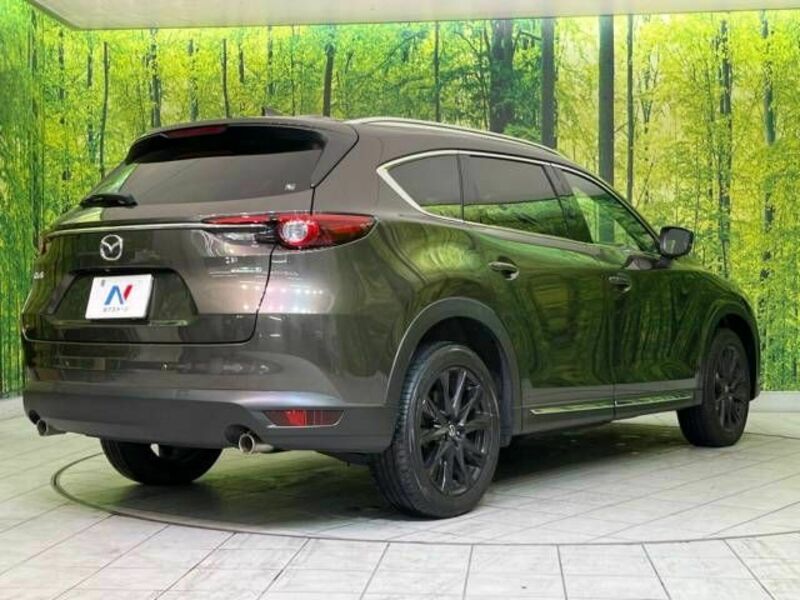 CX-8