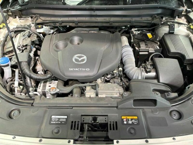 CX-8