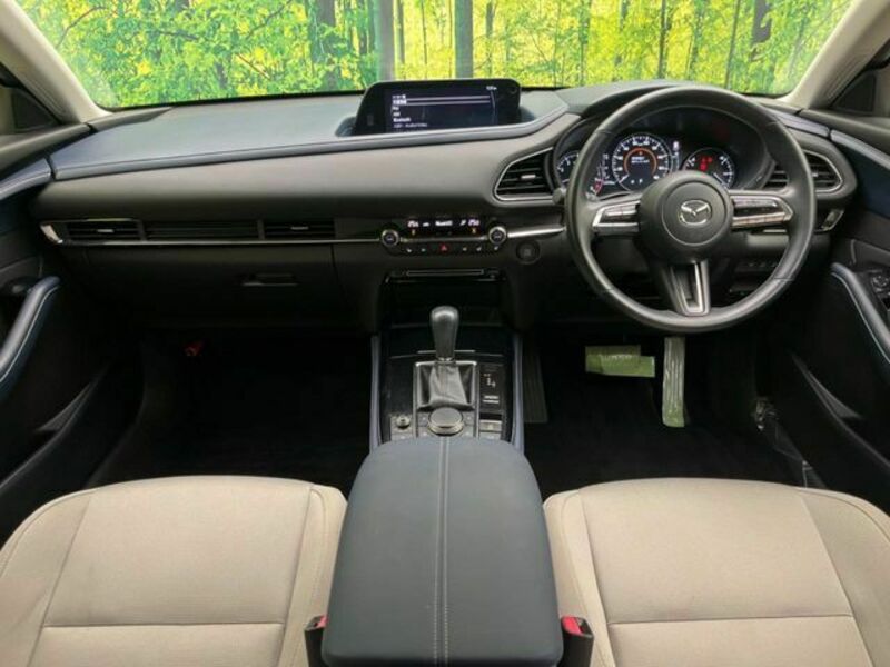CX-30