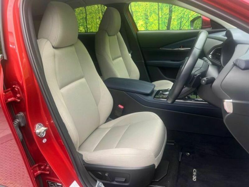CX-30