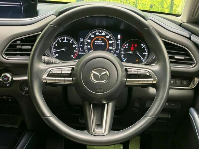 CX-30