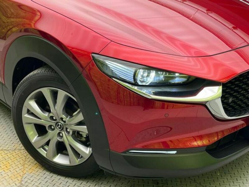 CX-30