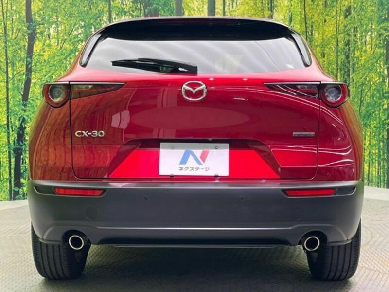 CX-30