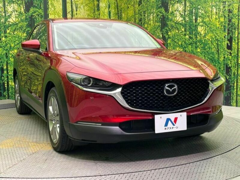 CX-30